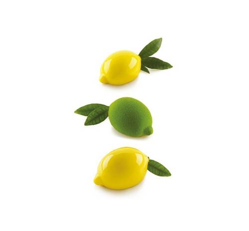 קיט סיליקון 4 לימונים limone